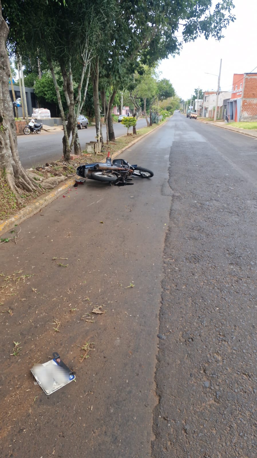 Dos motociclistas resultaron heridos tras chocar contra un árbol en Posadas 2